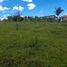  Land for sale in Cauca, Popayan, Cauca