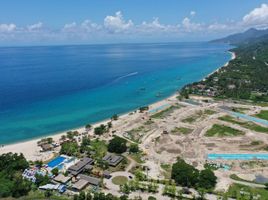  Land for sale at Playa Laiya, San Juan