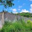  Land for sale in Atzacan, Veracruz, Atzacan