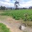  Terrain for sale in Cotopaxi, Guaitacama Guaytacama, Latacunga, Cotopaxi