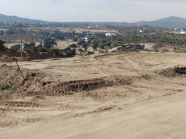  Terrain for sale in Tecate, Baja California, Tecate