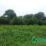  Land for sale in Los Rios, Pimocha, Babahoyo, Los Rios