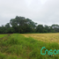  Land for sale in Los Rios, Pimocha, Babahoyo, Los Rios