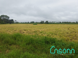  Terreno (Parcela) en venta en Babahoyo, Los Rios, Pimocha, Babahoyo