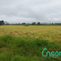  Land for sale in Pimocha, Los Rios, Pimocha, Babahoyo