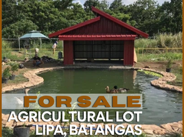  Terreno (Parcela) en venta en Lipa City, Calabarzon, Lipa City, Batangas