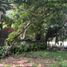  Land for sale in Muntinlupa City, Metro Manila, Muntinlupa City