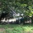  Land for sale in Muntinlupa City, Metro Manila, Muntinlupa City