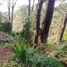  Land for sale in Baguio City, Cordillera, Baguio City, Benguet