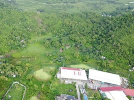  Grundstück zu verkaufen in Leyte, Eastern Visayas, Tacloban City, Leyte