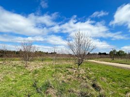  Terreno (Parcela) en venta en Valdivia, Los Ríos, Mariquina, Valdivia