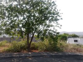  Terreno (Parcela) en venta en Portoviejo, Manabi, Portoviejo, Portoviejo