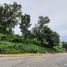 Terrain à vendre à Talisay City, Central Visayas, Talisay City, Cebu, Central Visayas, Philippines