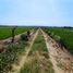  Land for sale in Portoviejo, Manabi, Portoviejo, Portoviejo