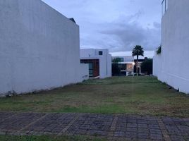  Grundstück zu verkaufen in Santa Isabel Cholula, Puebla, Santa Isabel Cholula