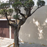 Villa 4 chambre à vendre à Miguel Hidalgo, Mexico City, Miguel Hidalgo