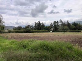  Land for sale in Antonio Ante, Imbabura, San Jose De Chaltura, Antonio Ante