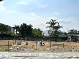  Land for sale in Samborondon, Guayas, Samborondon, Samborondon