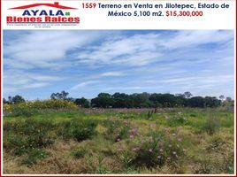  Grundstück zu verkaufen in Jilotepec, Mexico, Jilotepec