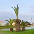 在Lima出售的 土地, Lurin, Lima, Lima
