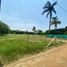  Land for sale in Palmira, Valle Del Cauca, Palmira