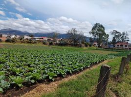  Terreno (Parcela) en venta en Turi Viewpoint, Cuenca, San Joaquin, Cuenca