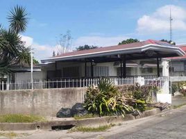 4 Bedroom House for rent in Angeles City, Pampanga, Angeles City