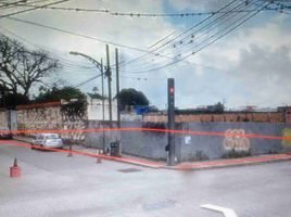  Land for rent in Ixtaczoquitlan, Veracruz, Ixtaczoquitlan