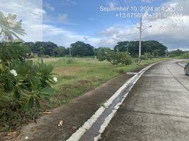  Land for sale at Playa Laiya, San Juan