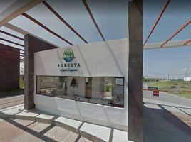 3 Schlafzimmer Haus zu verkaufen in Toluca, Mexico, Toluca