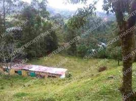  Terreno (Parcela) en venta en Guarne, Antioquia, Guarne