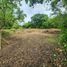  Land for sale in Bolivar, Cartagena, Bolivar