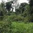  Terrain for sale in Madre De Dios, Tambopata, Tambopata, Madre De Dios