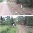  Terrain for sale in Madre De Dios, Tambopata, Tambopata, Madre De Dios