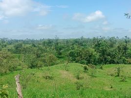  Terreno (Parcela) en venta en San Miguel de los Bancos, Pichincha, San Miguel De Los Bancos, San Miguel de los Bancos