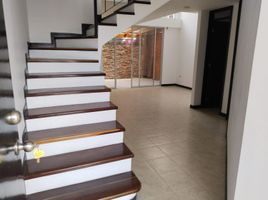 3 Habitación Villa en alquiler en Colombia, Pereira, Risaralda, Colombia