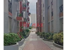 在Chorrillos, Lima出售的3 卧室 住宅, Chorrillos
