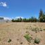  Land for sale in Puembo, Quito, Puembo