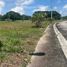  Land for sale in San Juan, Batangas, San Juan