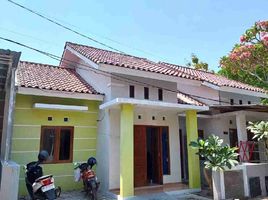 2 chambre Maison for sale in Kasihan, Bantul, Kasihan