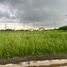  Land for sale at MESILO, Dasmarinas City