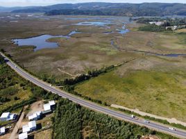  Terreno (Parcela) en venta en Valdivia, Los Ríos, Mariquina, Valdivia