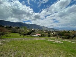  Terreno (Parcela) en venta en Villa De Leyva, Boyaca, Villa De Leyva