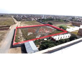  Terreno (Parcela) en venta en Pimentel, Chiclayo, Pimentel