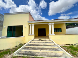 515 SqM Office for rent in Merida, Yucatan, Merida