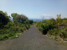  Grundstück zu verkaufen in Klungkung, Bali, Nusa Penida