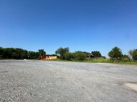  Terreno (Parcela) en alquiler en Nuevo León, Montemorelos, Nuevo León