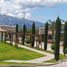  Land for sale in Tabacundo, Pichincha, Tabacundo