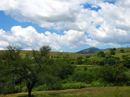 在Jerecuaro, Guanajuato出售的 土地, Jerecuaro