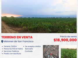 Grundstück zu verkaufen in Juan C Bonilla, Puebla, Juan C Bonilla